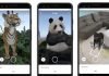 Your Home is Now Animals Home: Thanks to Google 3D, Wild Animals Are Entering Your Home & Its Super Fun. Google's New Activity: Animals in 3D Google.