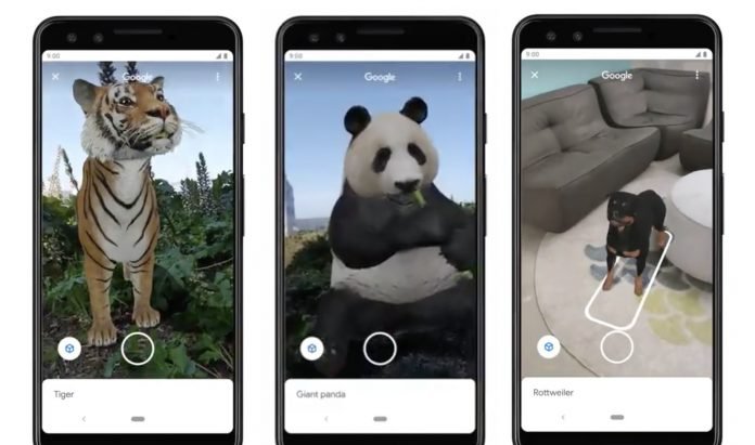 Google's New Activity: Animals in 3D Google.