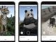 Your Home is Now Animals Home: Thanks to Google 3D, Wild Animals Are Entering Your Home & Its Super Fun. Google's New Activity: Animals in 3D Google.