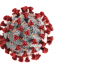 INDIA COVID-19 CORONAVIRUS PANDEMIC STATS Covid-19 India Stats.