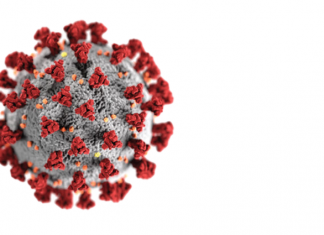 INDIA COVID-19 CORONAVIRUS PANDEMIC STATS Covid-19 India Stats.