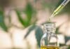 Why Not Consider Using CBD For Mental Well-being? CBD For Mental Well-being
