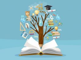 Top 6 Habits to Cultivate your Career Cultivate Your Career