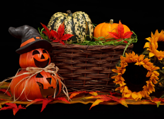 6 Tips to Plan an Grown-Up Halloween Party plan halloween party