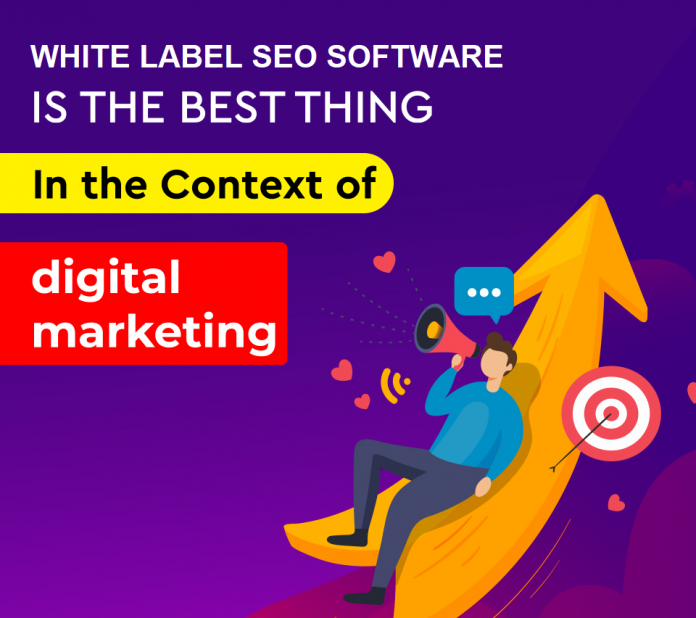 White label seo audit tools White label seo audit tools