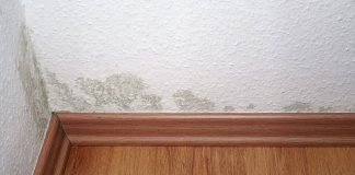 Signs My House Has Moisture Problems how-to-lower-the-humidity-in-the-house