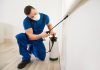 Qualities to Look For in a Bed Bug Exterminator bed bug exterminator