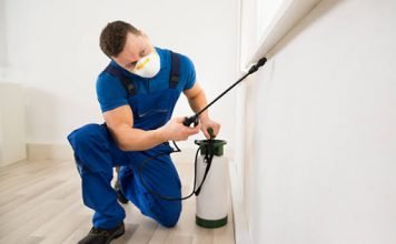 Qualities to Look For in a Bed Bug Exterminator bed bug exterminator