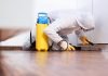 How To Get Rid Of Bed Bugs? how to get rid of bugs