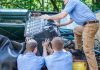 Did Junk Pile Up In Your Office? junk-removal-service