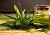 The Medicinal Uses of Cannabis uses-of-cannabis