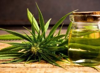 The Medicinal Uses of Cannabis uses-of-cannabis