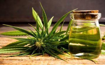 Want To Consume Weed? – Get To Know The Various Methods Of Consumption Marijuana plant