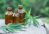 Proper Ways To Advertise Hemp Business advertise-hemp-business