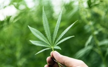 Learn Various Ways To Consume Marijuana And Its Benefits marijuana-benefits