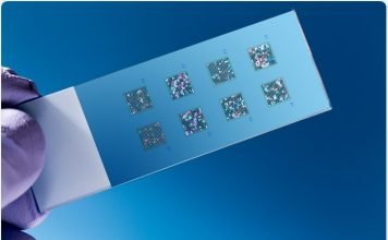 What is The Difference Between a Peptide and a Protein? peptide vs protien